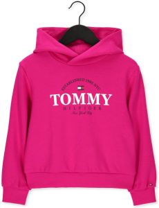 Tommy Hilfiger Roze Trui Tommy Foil Graphic Hoodie