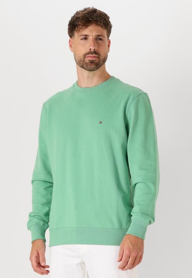 TOMMY HILFIGER Heren Truien & Vesten Essential Terry Crewneck Groen - Foto 4