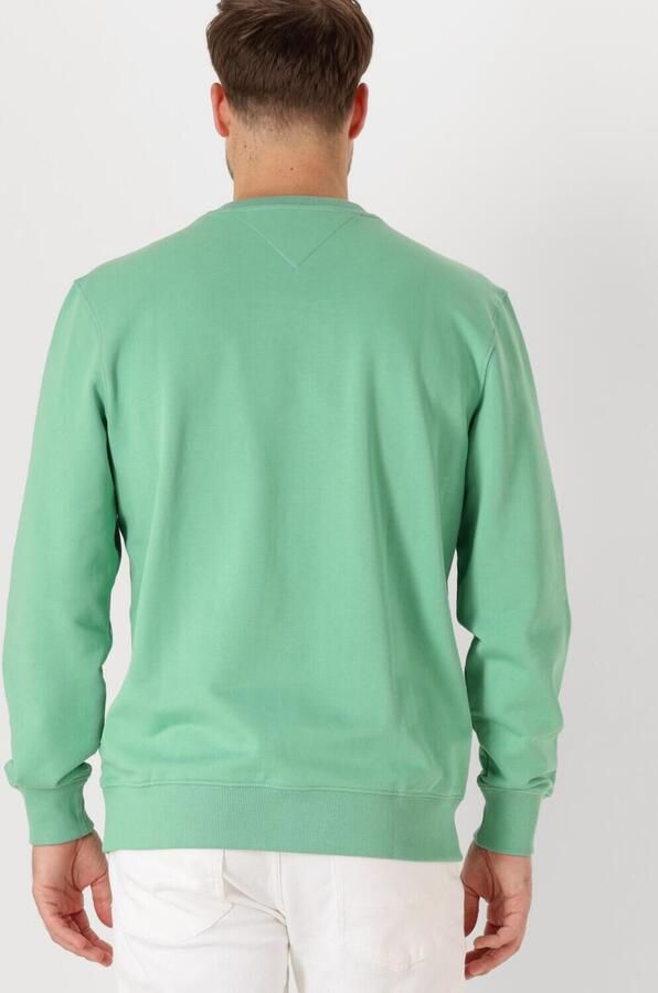 TOMMY HILFIGER Heren Truien & Vesten Essential Terry Crewneck Groen - Foto 2