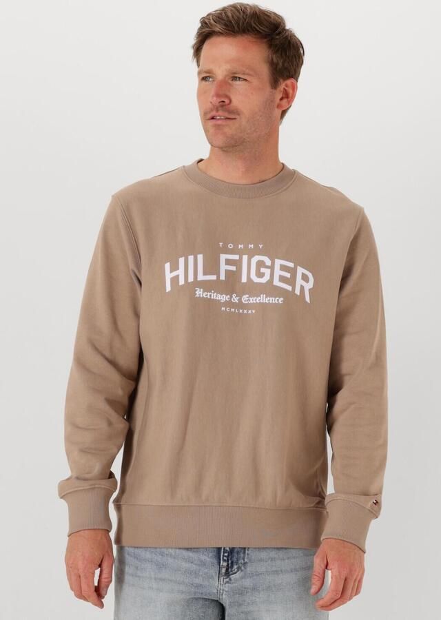 TOMMY HILFIGER Heren Truien & Vesten Hilfiger Arch Crew Neck Beige - Foto 4