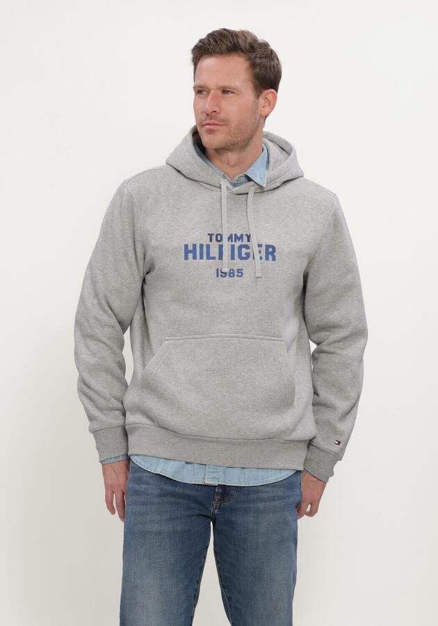 TOMMY HILFIGER Heren Truien & Vesten Hilfiger Stack Reg Fleece Hoodie Grijs
