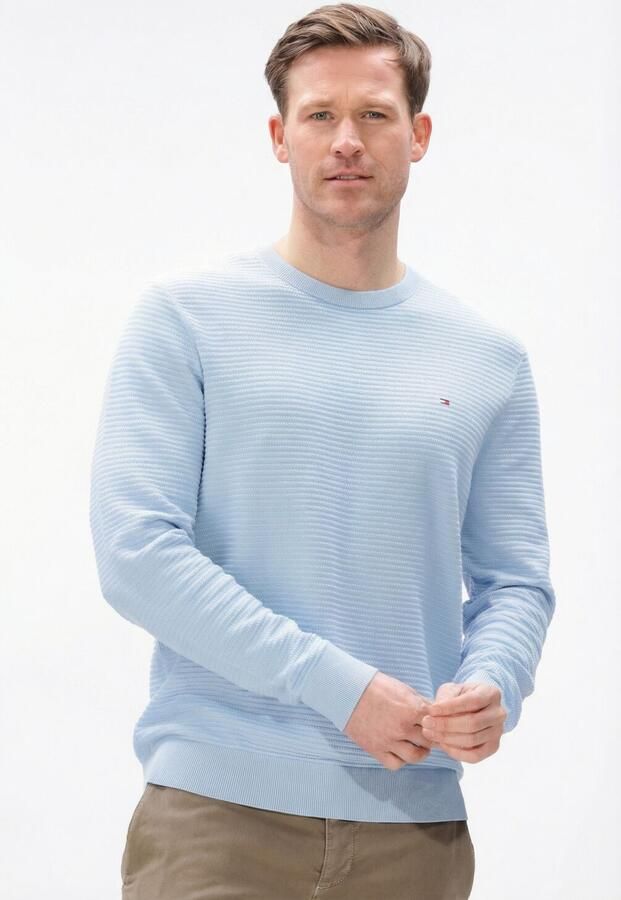 TOMMY HILFIGER Heren Truien & Vesten Seasonal Structure Cneck Lichtblauw