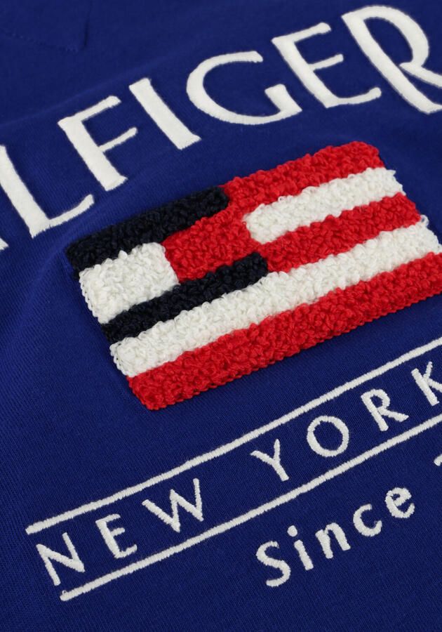 TOMMY HILFIGER Jongens Polo's & T-shirts Hilfiger Flag Terry Emb Tee Ss Blauw