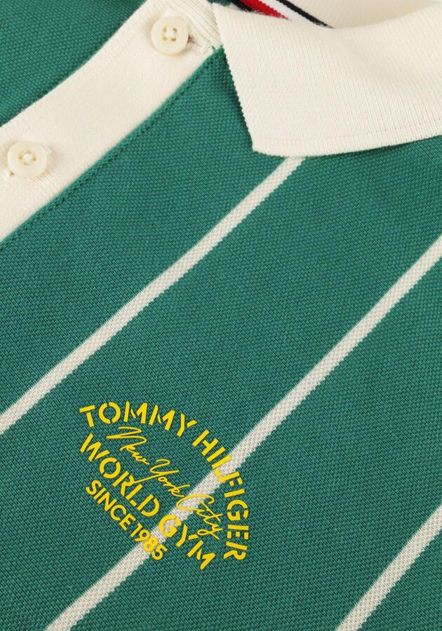 TOMMY HILFIGER Jongens Polo's & T-shirts Polo Ss Groen