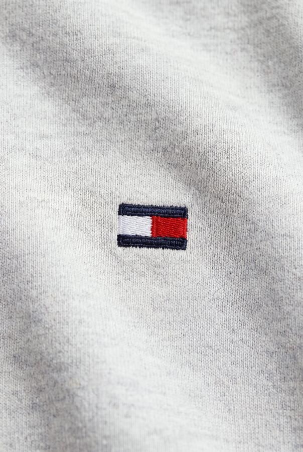 TOMMY HILFIGER Jongens Truien & Vesten Brand Love Fz Hoodie Lichtgrijs - Foto 2