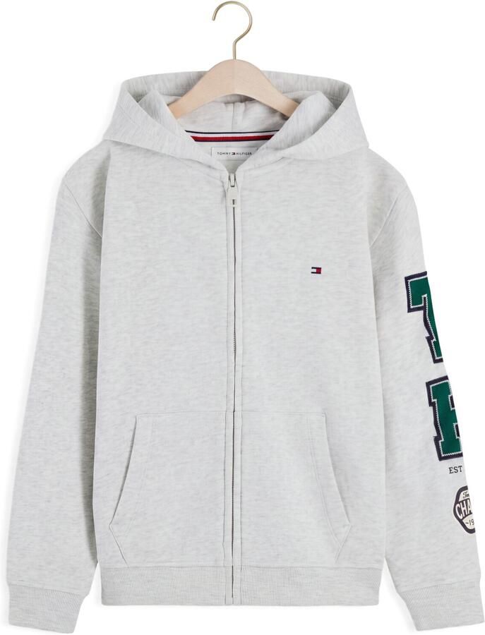 TOMMY HILFIGER Jongens Truien & Vesten Brand Love Fz Hoodie Lichtgrijs