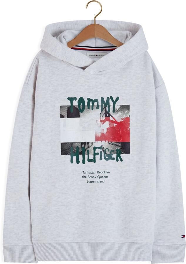 TOMMY HILFIGER Jongens Truien & Vesten Flag Grafitti Hoodie Lichtgrijs