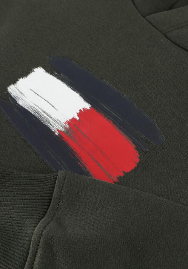 TOMMY HILFIGER Jongens Truien & Vesten Flag Hoodie Donkergroen