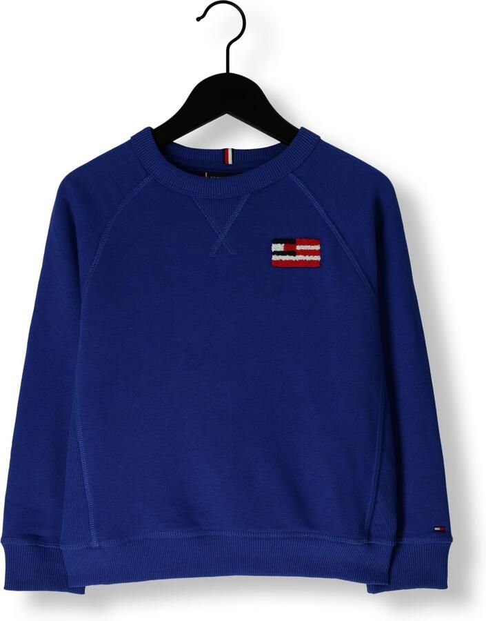 TOMMY HILFIGER Jongens Truien & Vesten Hilfiger Flag Relaxed Sweatshirt Blauw - Foto 2