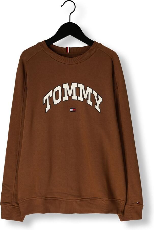 TOMMY HILFIGER Jongens Truien & Vesten Varsity Raised Print Sweatshirt Bruin - Foto 2