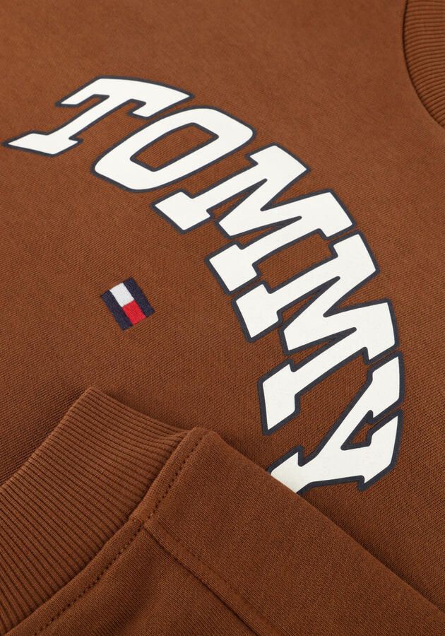 TOMMY HILFIGER Jongens Truien & Vesten Varsity Raised Print Sweatshirt Bruin
