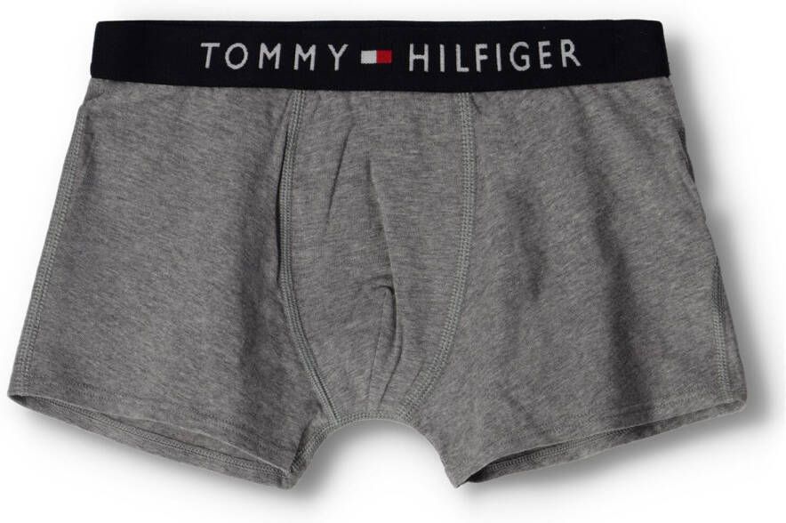 TOMMY HILFIGER UNDERWEAR Tommy Hilfiger Jongens Nachtkleding 2p Trunk Boxer Grijs