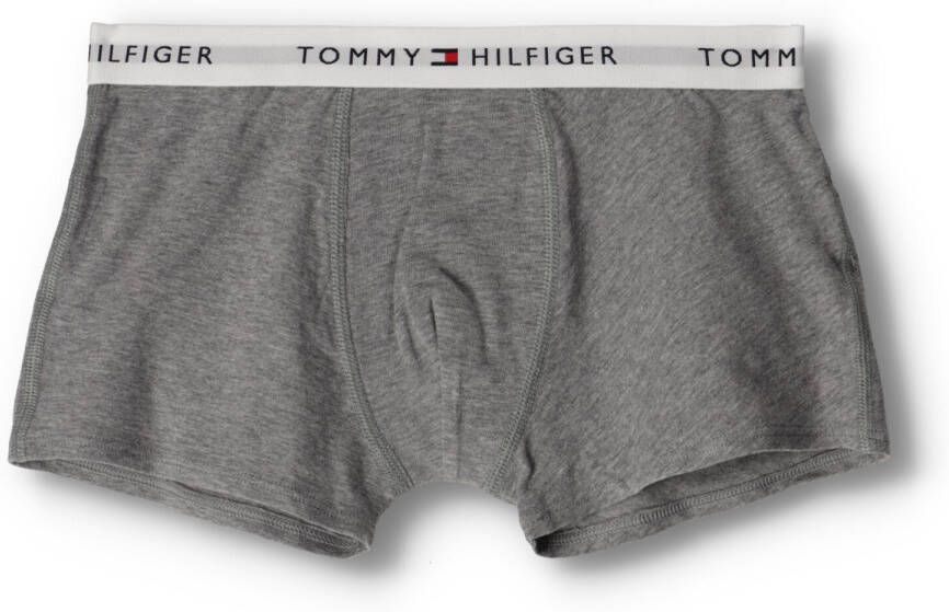TOMMY HILFIGER UNDERWEAR Tommy Hilfiger Jongens Nachtkleding 2p Trunk Boxer Th Grijs