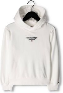 Tommy Hilfiger Hoodie TOMMY GRAPHIC HOODIE L S (1-delig)