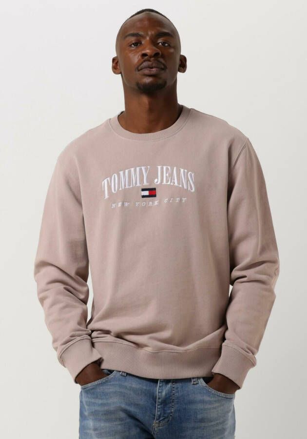 TOMMY JEANS Sweatshirt TJM REG SMALL VARSITY CREW met een ronde hals