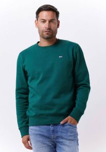 Tommy Jeans Donkergroene Sweater Tjm Regular Fleece C Neck