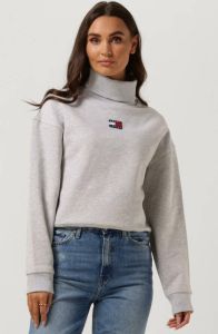 Tommy Jeans Grijze Coltrui Heavyweight Knits Col