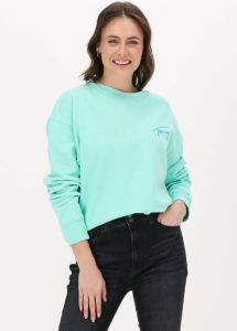 Tommy Jeans Mint Sweater Tjw Crop Tommy Signature Crew