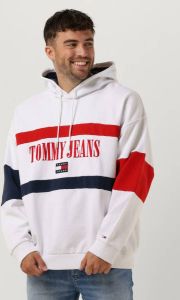 Tommy Jeans Multi Sweater Tjm Skater Archive Block Hoodie