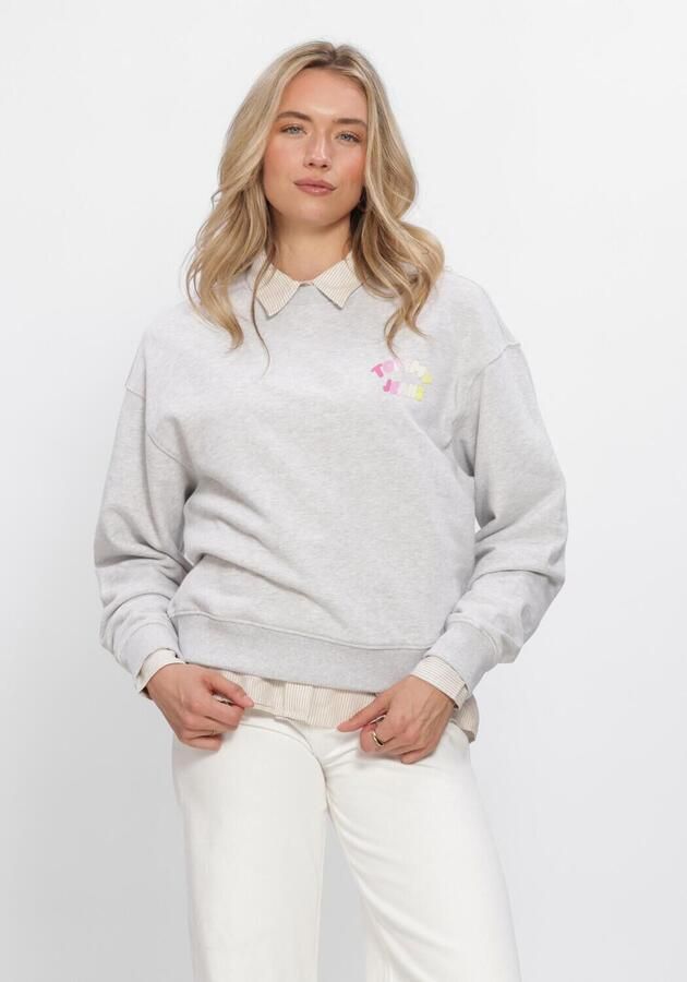 TOMMY JEANS Dames Truien & Vesten Tjw Bxy Color Bubble Crew Ext Lichtgrijs