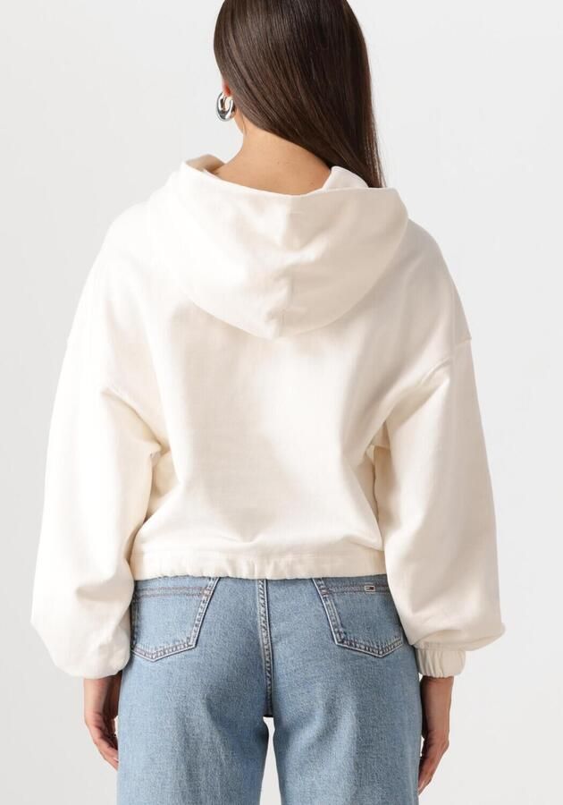 TOMMY JEANS Dames Truien & Vesten Tjw Crp Gmd Script Hoodie Ecru
