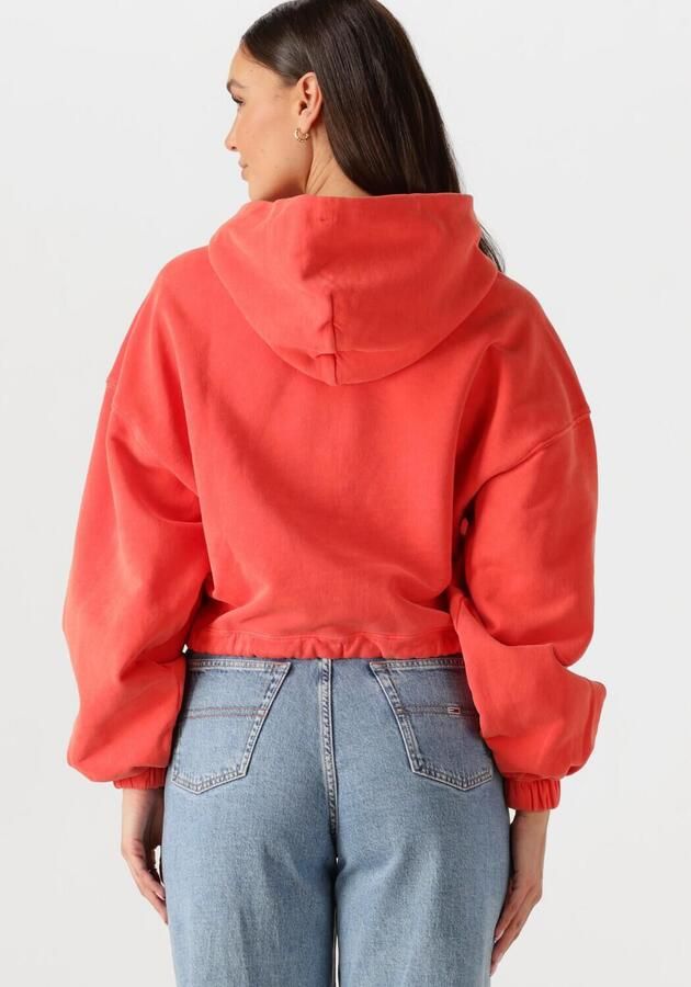 TOMMY JEANS Dames Truien & Vesten Tjw Crp Gmd Script Hoodie Rood - Foto 2