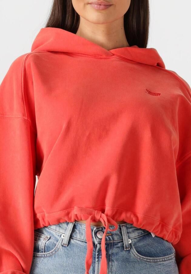 TOMMY JEANS Dames Truien & Vesten Tjw Crp Gmd Script Hoodie Rood - Foto 3