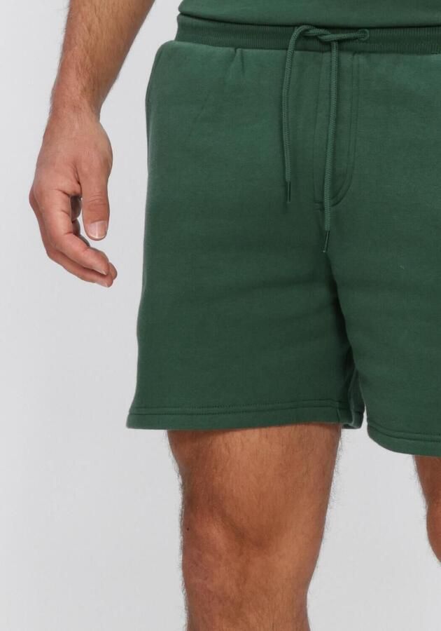TOMMY JEANS Heren Broeken Tjm S Flag Beach Short Ext Groen - Foto 4