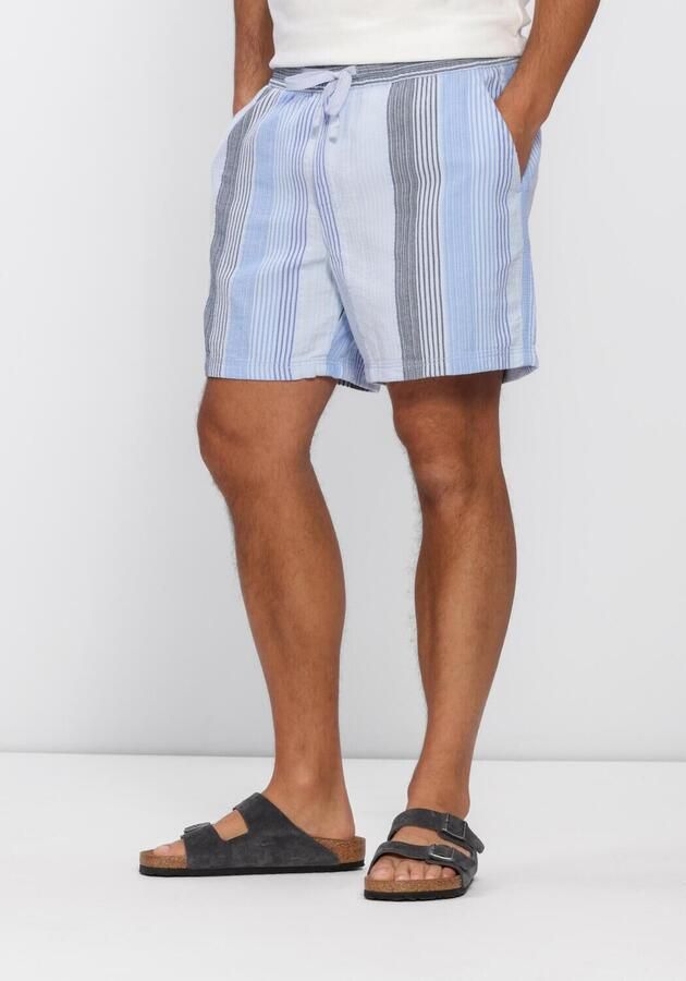 TOMMY JEANS Heren Broeken Tjm Textured Stripe Short Ext Multi