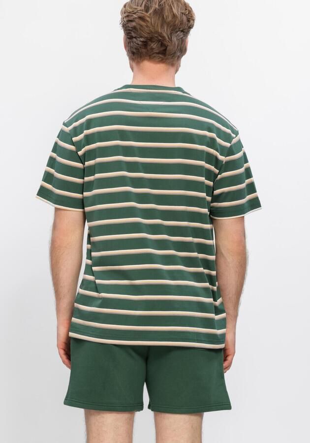 TOMMY JEANS Heren Polo's & T-shirts Tjm Rlx Stripe Ss Tee Groen - Foto 3