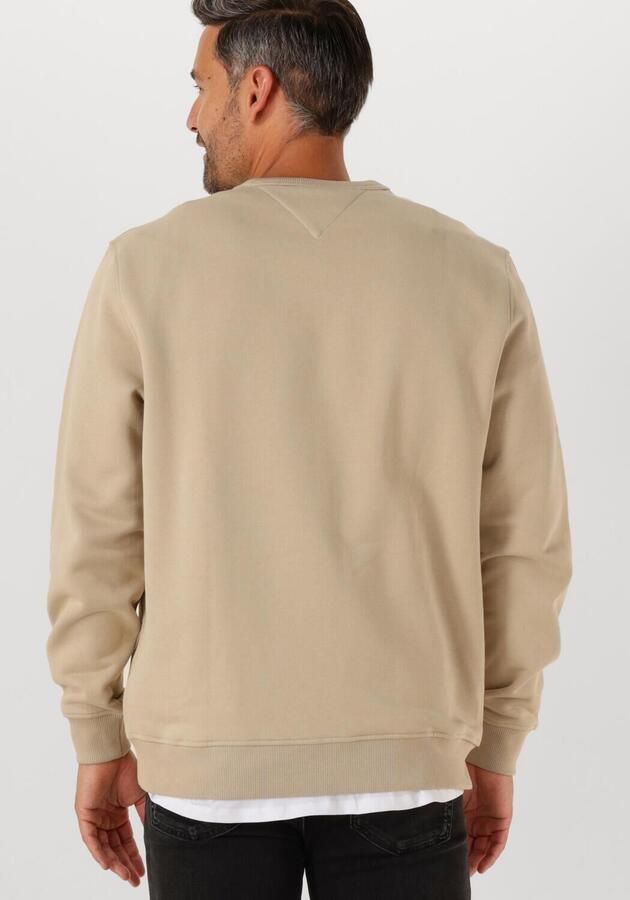 TOMMY JEANS Heren Truien & Vesten Tjm Reg Badge Crew Ext Beige