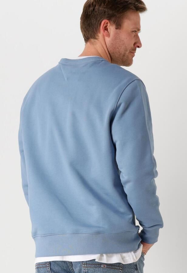 TOMMY JEANS Heren Truien & Vesten Tjm Reg Badge Crew Ext Blauw - Foto 2