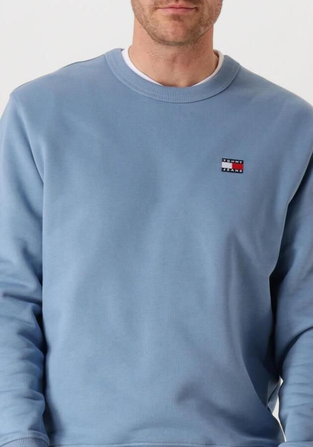 TOMMY JEANS Heren Truien & Vesten Tjm Reg Badge Crew Ext Blauw
