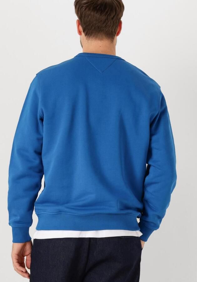TOMMY JEANS Heren Truien & Vesten Tjm Reg Badge Crew Ext Blauw