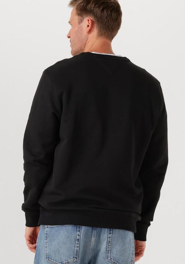 TOMMY JEANS Heren Truien & Vesten Tjm Reg Badge Crew Ext Zwart
