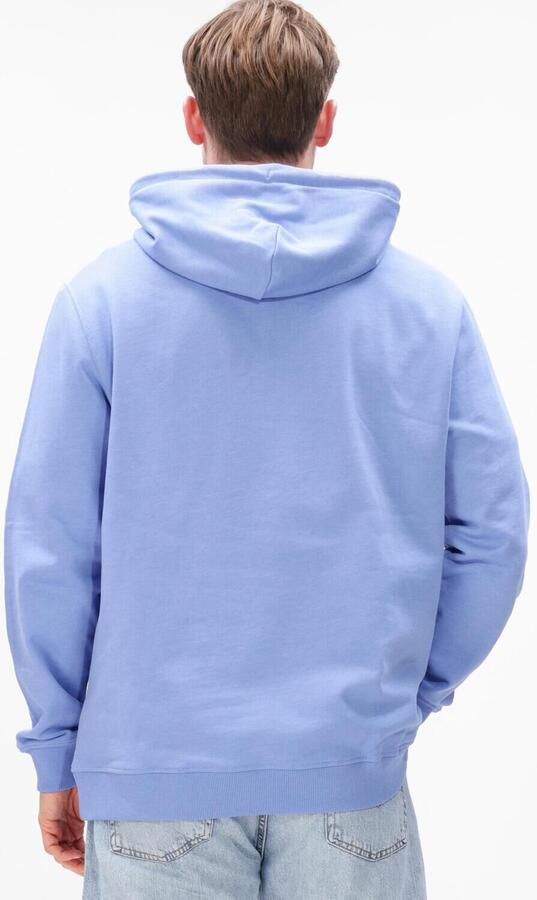TOMMY JEANS Heren Truien & Vesten Tjm Reg Badge Hoodie Ext Lichtblauw - Foto 4