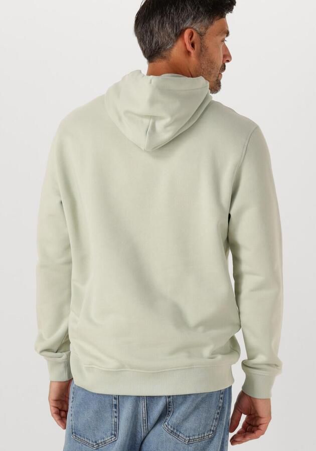 TOMMY JEANS Heren Truien & Vesten Tjm Reg Badge Hoodie Ext Mint