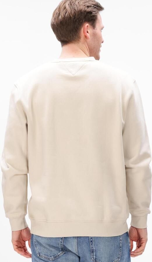 TOMMY JEANS Heren Truien & Vesten Tjm Reg Linear Crew Ext Beige - Foto 4