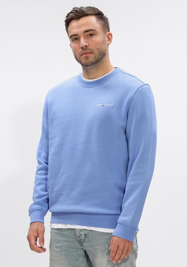 TOMMY JEANS Heren Truien & Vesten Tjm Reg Linear Crew Ext Blauw