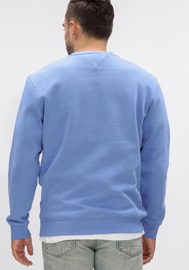 TOMMY JEANS Heren Truien & Vesten Tjm Reg Linear Crew Ext Blauw - Foto 3