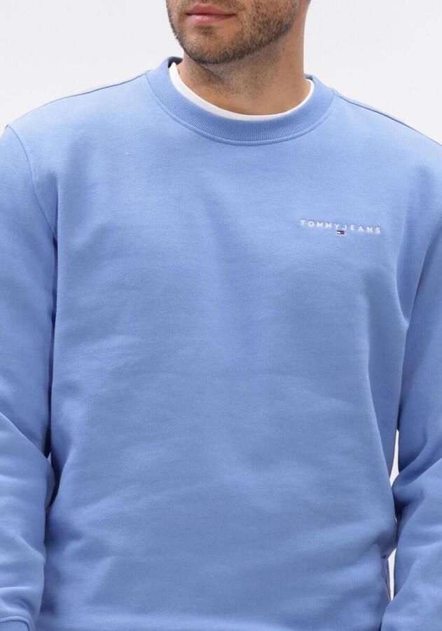 TOMMY JEANS Heren Truien & Vesten Tjm Reg Linear Crew Ext Blauw - Foto 2