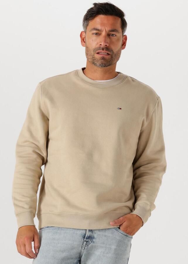 TOMMY JEANS Heren Truien & Vesten Tjm Reg S Flag Crew Ext Beige - Foto 4