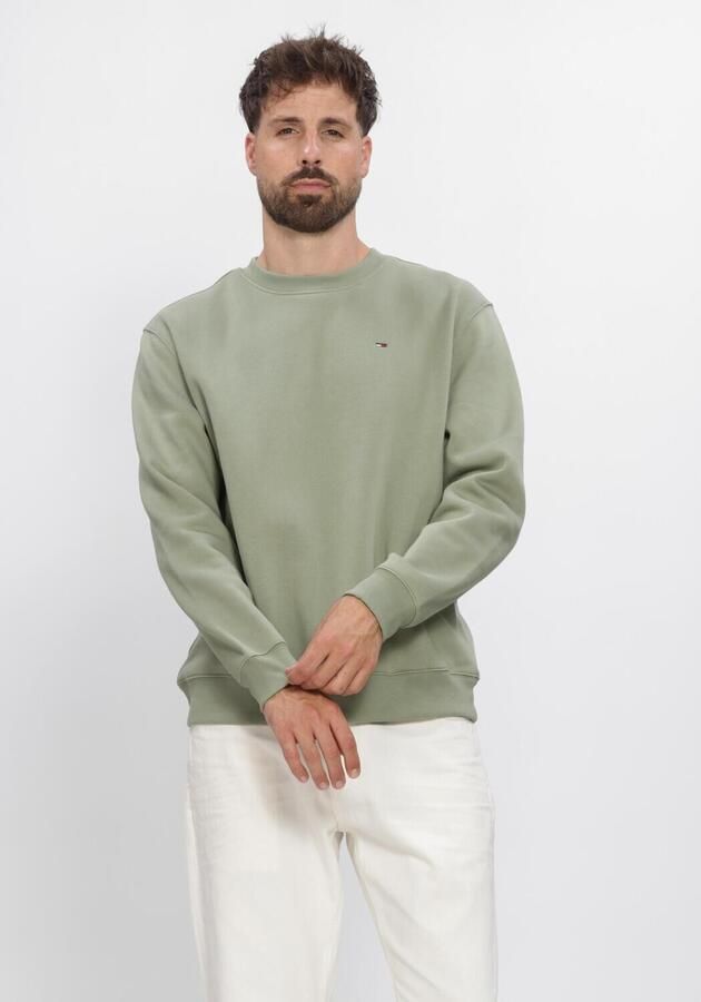 TOMMY JEANS Heren Truien & Vesten Tjm Reg S Flag Crew Ext Groen