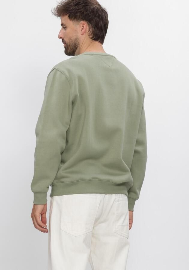 TOMMY JEANS Heren Truien & Vesten Tjm Reg S Flag Crew Ext Groen - Foto 2