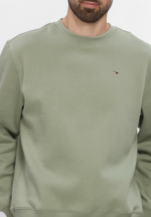 TOMMY JEANS Heren Truien & Vesten Tjm Reg S Flag Crew Ext Groen - Foto 3