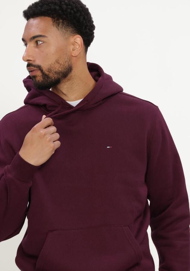 TOMMY JEANS Heren Truien & Vesten Tjm Reg S Flag Hoodie Ext Bordeaux - Foto 4