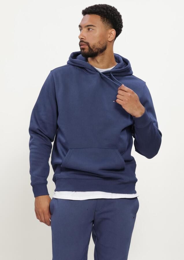 TOMMY JEANS Heren Truien & Vesten Tjm Reg S Flag Hoodie Ext Donkerblauw