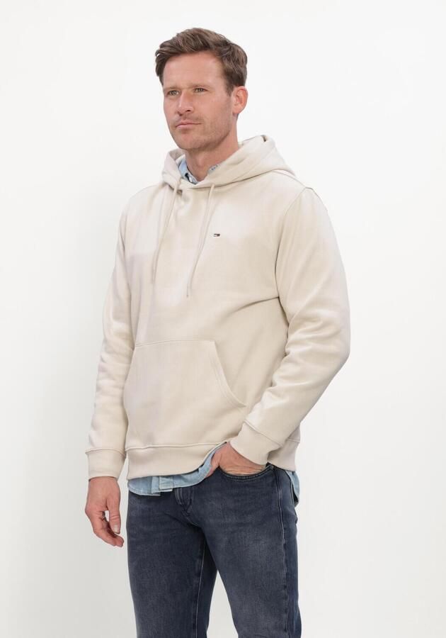 TOMMY JEANS Heren Truien & Vesten Tjm Reg S Flag Hoodie Ext Ecru