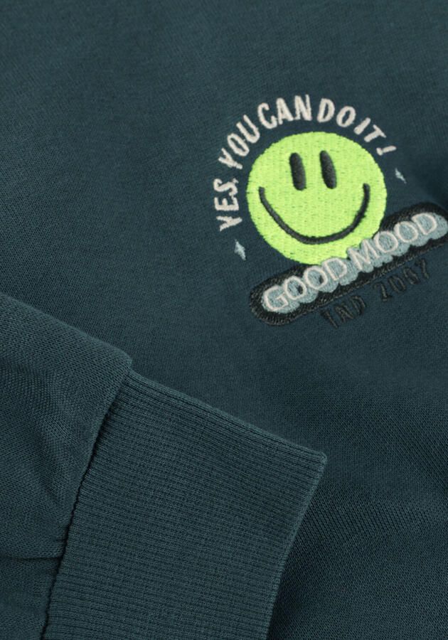 TUMBLE 'N DRY Jongens Truien & Vesten Shooter Donkergroen - Foto 3