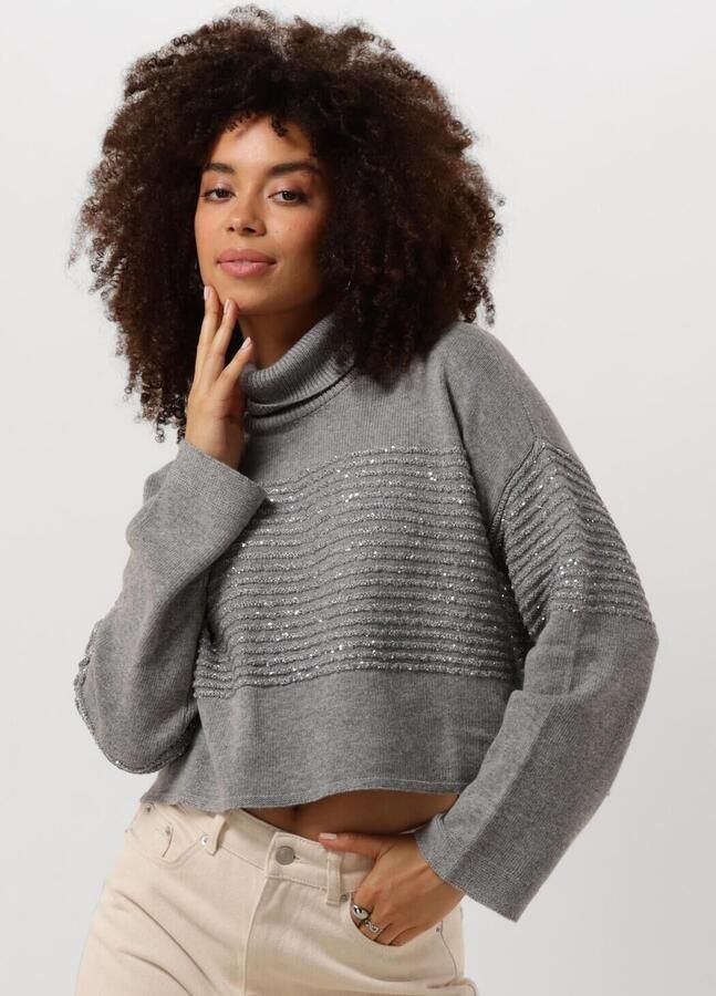 Twinset Grijze Paillet Sweater Dolcevita Lange Mouw Gray Dames - Foto 4